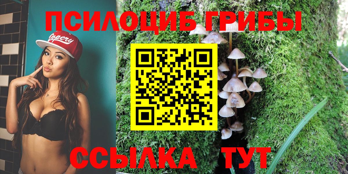 где купить   Псилоцибиновые грибы Psilocybe  Вход с VPN  Галлюциногенные грибы мицелий  Киров 