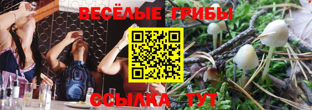 Галлюциногенные грибы Psilocybine cubensis Киров